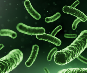 Probiotiki Vitals BIOMA Microbiol Trio