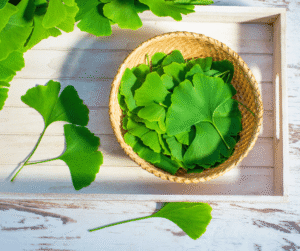 Ginko biloba, Vitals BIOMA